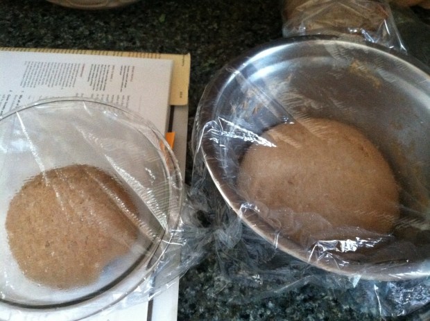 83183-stluciabuns012