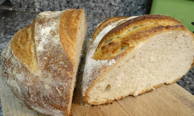 wordpress background3