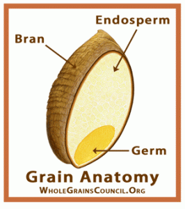 grainparts_300x338_wgc