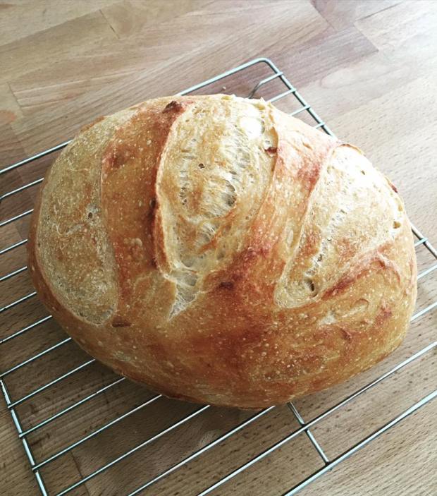 13327512_10104055374349217_7891619855731519226_n